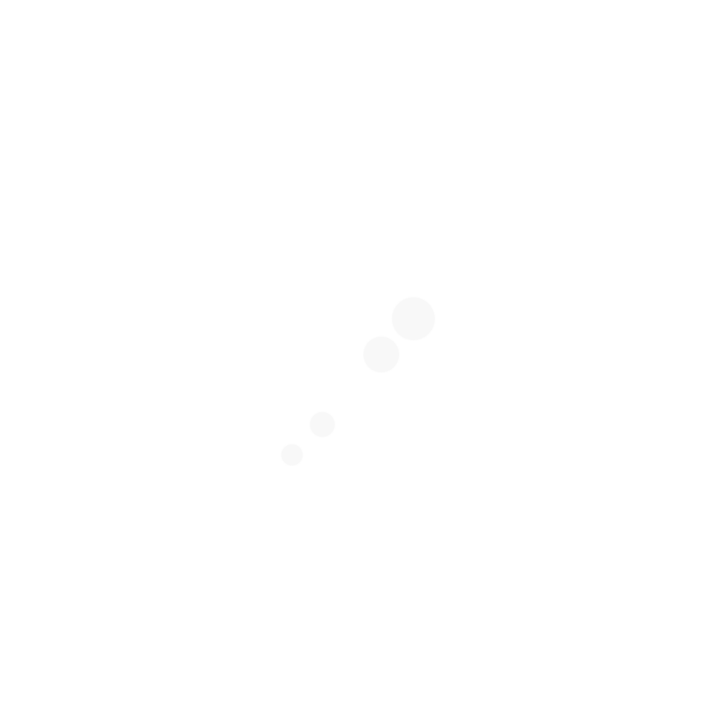 Lexar logo